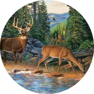 Deer Couple Wooden Jigsaw Puzzle
