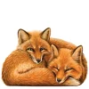Lovely Foxes Wooden Jigsaw Puzzle